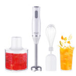 AD 4620 Stabmixer Set