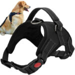 Druckfreies Hundegeschirr L