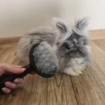 Selbstreinigende Haarbürste für Tiere – Bild 4