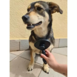 Selbstreinigende Haarbürste für Tiere – Bild 5